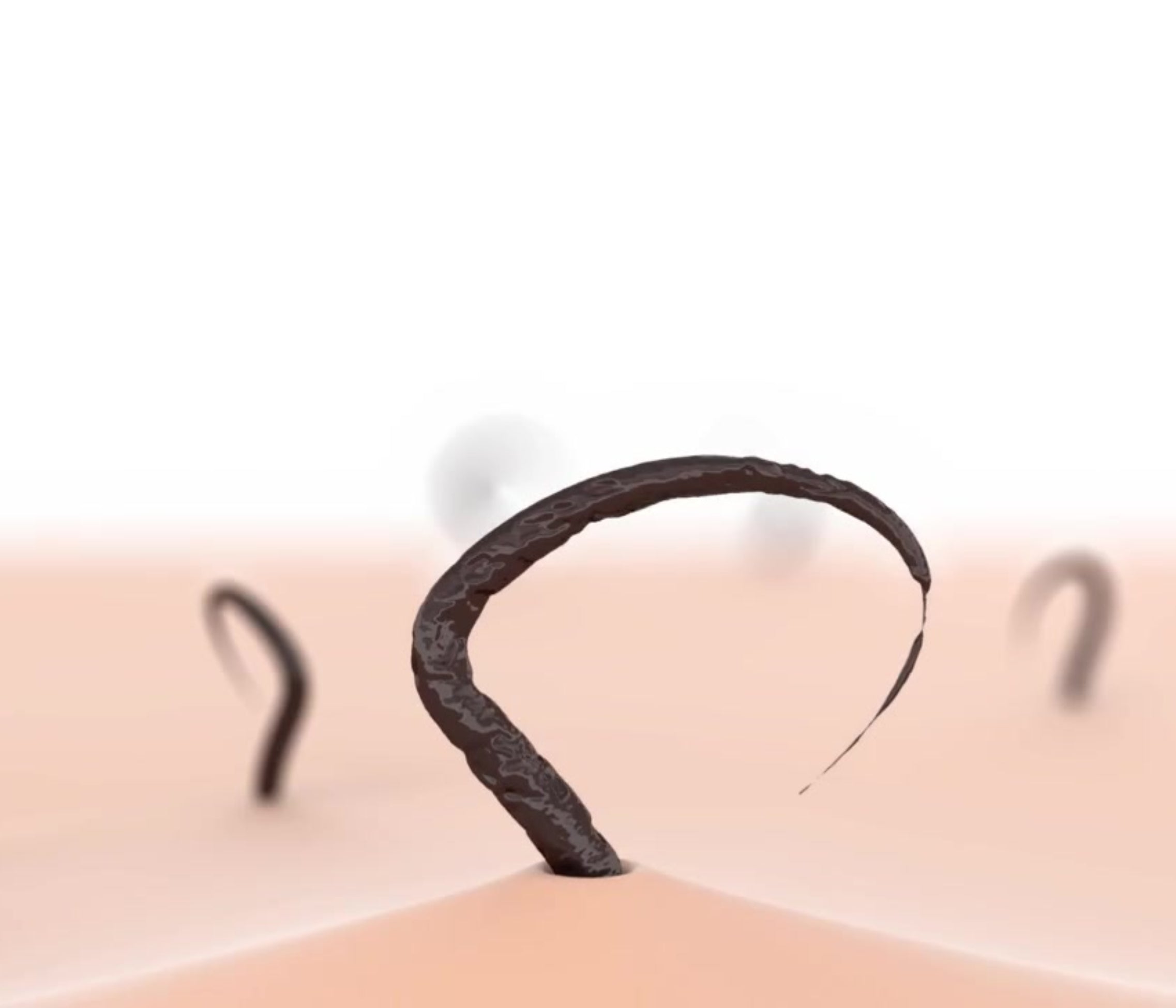 PREMIUM ARGAN ÖL 100 ml